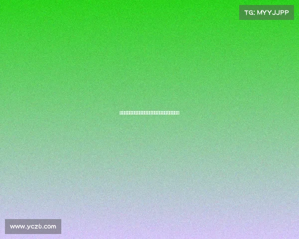 德甲俱乐部收入分析：财政健康与商业模式的成功之道