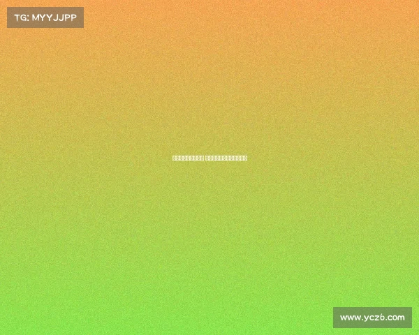 不来梅重塑辉煌之路 德甲新势力崛起的背后故事 不来梅重塑辉煌之路 德甲新势力崛起的背后故事