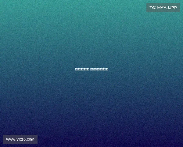 以利华古逊崛起之路 德甲劲旅的挑战与机遇分析