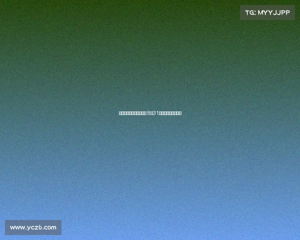 樊振东正式亮相德甲赛场 8月31日迎来首秀震撼登场