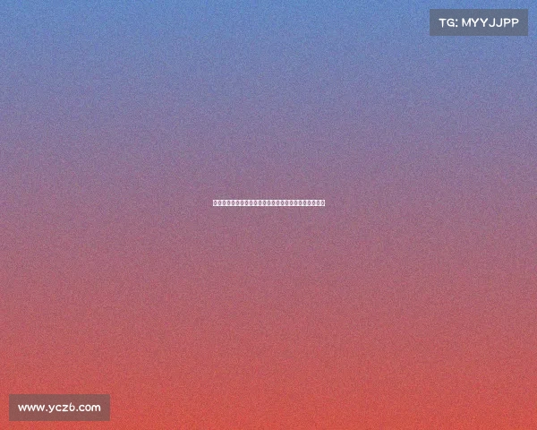 阿尔梅里亚跟队记者曝普维尔未接受任何俱乐部体检细节